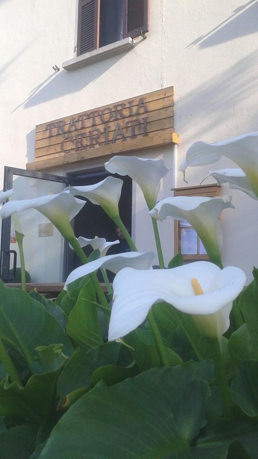 Trattoria Ceriati Room & Breakfast Salsomaggiore Terme Eksteriør bilde